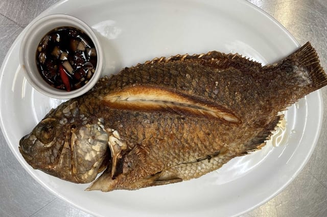 Tilapia.
